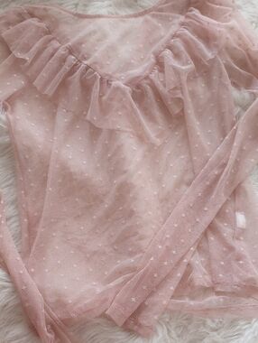 Forever 21 Blush Pink Sheer Ruffle Long Sleeve Top